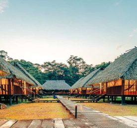 4 Days - Amazon Immersion: Wildlife, Culture & Jungle Adventure