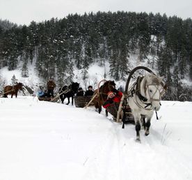 Приключения в конных санях