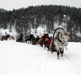 Конные сани: русская экзотика. Тур на 3 дня