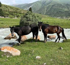 Кыргызстан: страна небесных гор. 7 дней