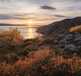 Териберка. Золотая осень