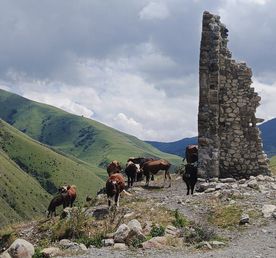 3 дня на Кавказе — Осетия и Кабардино-Балкария из Владикавказа