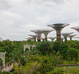 Сингапур и Малайзия. Столицы и Острова за 10 дней