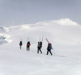 Весенняя прелесть Камчатки