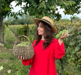 ртвели тур на сбор винограда и виноделия