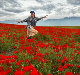Маки Кыргызстана! Красивый тур весны.