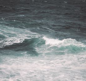 Край северных морей