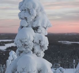 Из Мурманска в Кандалакшу — на Белое море!