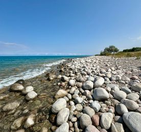 Погружение в природу Кыргызстана за 5 дней