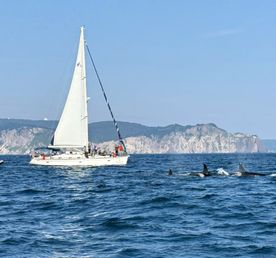 Камчатка: твое яркое знакомство с комфортом - Все включено