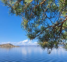 Казахстан. Бухтарминское водохранилище