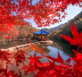 Южная Корея: от Сеула до Пусана