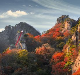 Красные клены и императорские дворцы