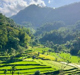 Бали + о.Нуса Пенида + Круиз на яхте по райским островам Гили!