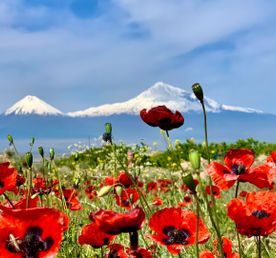 А за тобою Арарат, Армения моя! Топ 7 локаций за 5 дней!