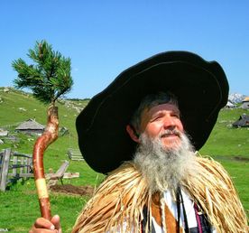 Квест-путешествие Волк в пастушьей шкуре