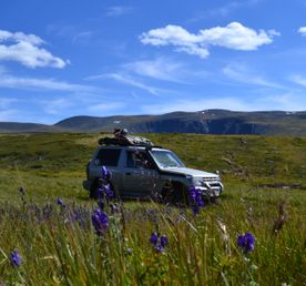 Суровый Алтайский.