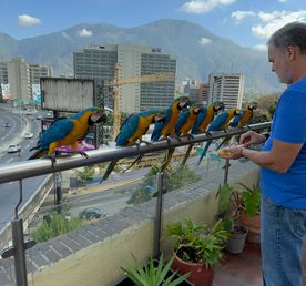 Венесуэла - большое путешествие в затерянные миры (индивидуально)