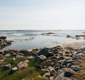 Соловки для гостей из Санкт-Петербурга