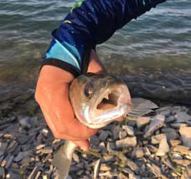 Рыбалка в Дагестане: три дня наедине с природой