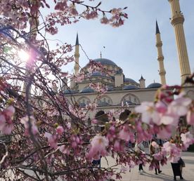 Город Грозный — экскурсия в Чечню