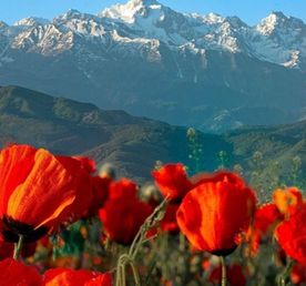 Жемчужины Кыргызстана за 6 дней. Все включено!