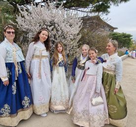 В погоне за Сакурой