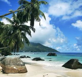 Райские Сейшелы на катамаране. Всё включено