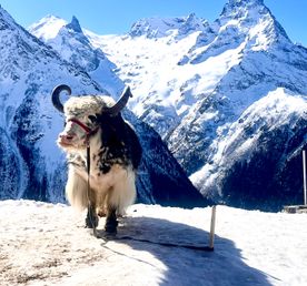 Джип тур в Домбай из Ессентуков -открытие новых горизонтов