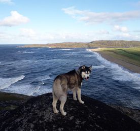 Природный парк Териберка
