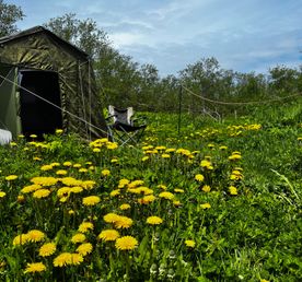 Рыбалка на Камчатского серебристоно красавца Кижуча!