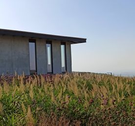 Краснодар и авторские вина Анапы