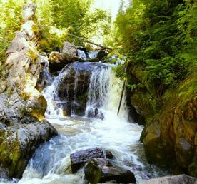 Золотое кольцо Алтая