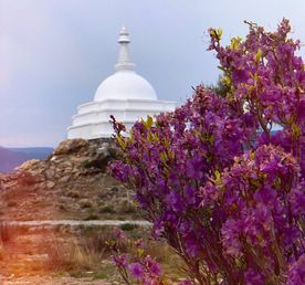 Комфорт-тур. Вся красота Байкала