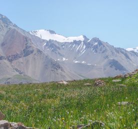 Памир и Узбекистан (опция 13 дней)