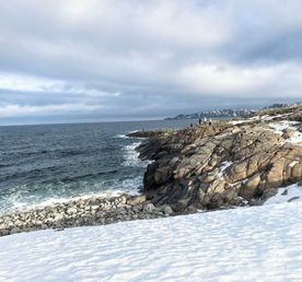 Большая экскурсия в Териберку.
