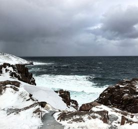 Большие приключения в Териберке: морепродукты,выход в море,топовые локации за 1 день.