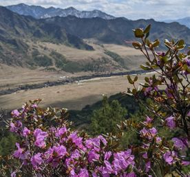 Весь Алтай за неделю! Чуйский тракт, Телецкое озеро, Каракольские озера