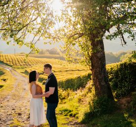 Фототур на чайную плантацию (цена за 1-4 чел.)