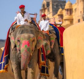 Золотой треугольник + Варанаси + праздник Холи