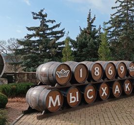 Винные открытия Геленджика и Новороссийска