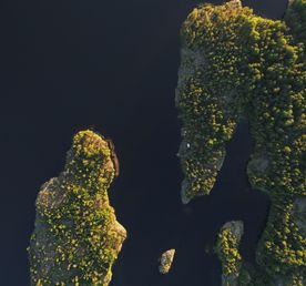 Однодневный тур по Ладожским шхерам Приозерск/Лахденпохья