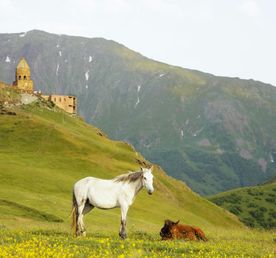 Казбеги — величие природы и культуры Грузии