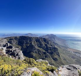 Африканская четверка: Юар, Замбия, Зимбабве и Ботсвана