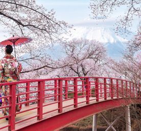 Цветение сакуры в Японии: путешествие в сердце весны