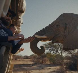 Тур в Намибию, место где океан встречается с дюной