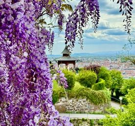 Грац - город контрастов