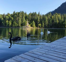 Удивительные Тёплые озера! Индивидуально.