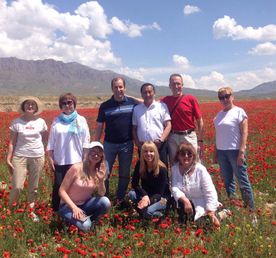 Грузия + Армения и Азербайджан: 3 в 1!