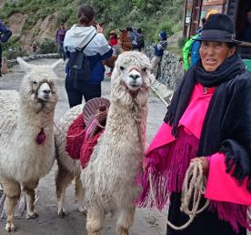 Тур-экспресс Эквадор и Галапагосы за 10 дней (индивидуально)